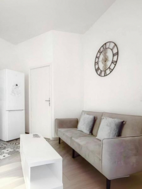 Bel appartement au Marais de Paris